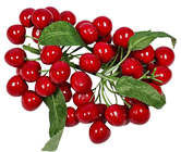 Red Cherry Branch 