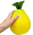 Fake Pomelo 