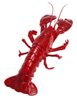 Plastic Lobster - 50cm 