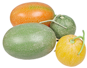 Orange-Yellow Melon 