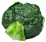 Artificial Broccoli 