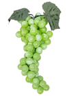 Light Green Decorative Grapes - 28cm 