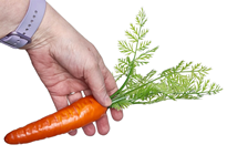 Lifelike Carrot with Greenery 