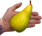 Green Pears - Pk.3 