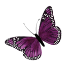 Lilac Feather Butterfly - 16cm 