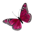 Pink Feather Butterfly - 16cm 